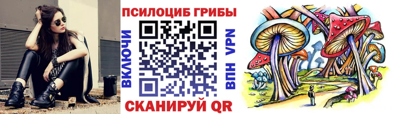 Псилоцибиновые грибы Psilocybine cubensis  Купить закладки  Богучар 